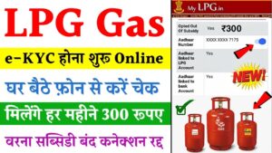 HP Gas Subsidy Check Online 2024